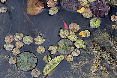 《天命奇御二》战斗混剪发布 今晚七点半制作人直播